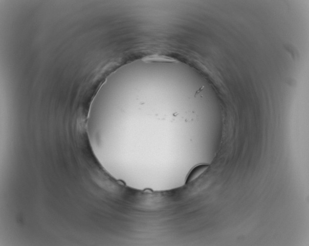 X0000113020384200909101842