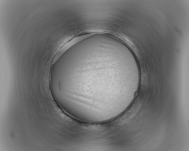 X0000113020385200909101842