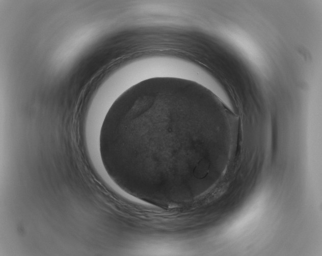 X0000113020387200909101842