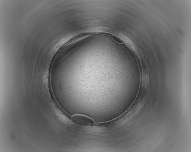 X0000113020389200909101842