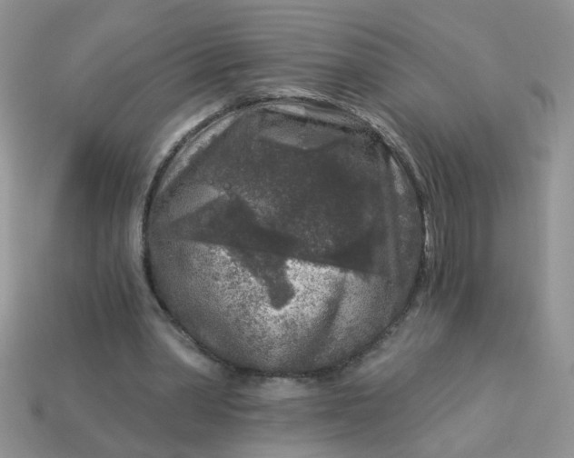 X0000113020390200909101842