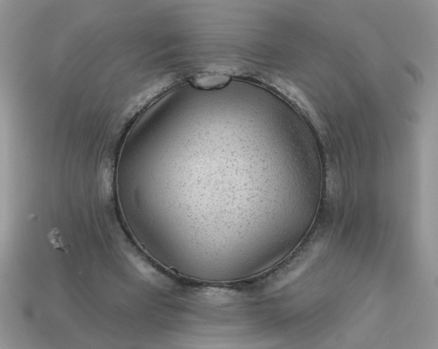 X0000113020393200909101842