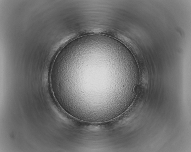 X0000113020394200909101842