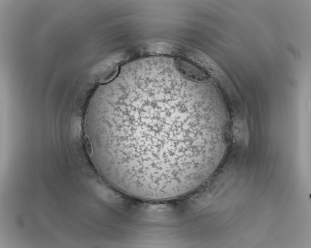 X0000113020401200909101842
