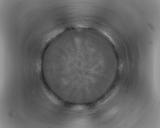 X0000113020402200909101842