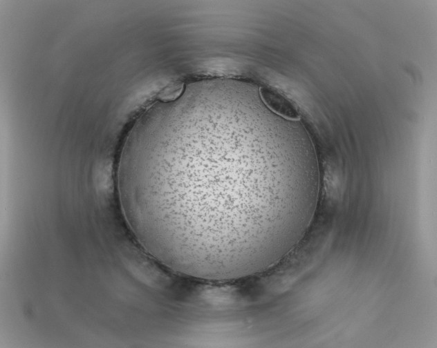 X0000113020403200909101842