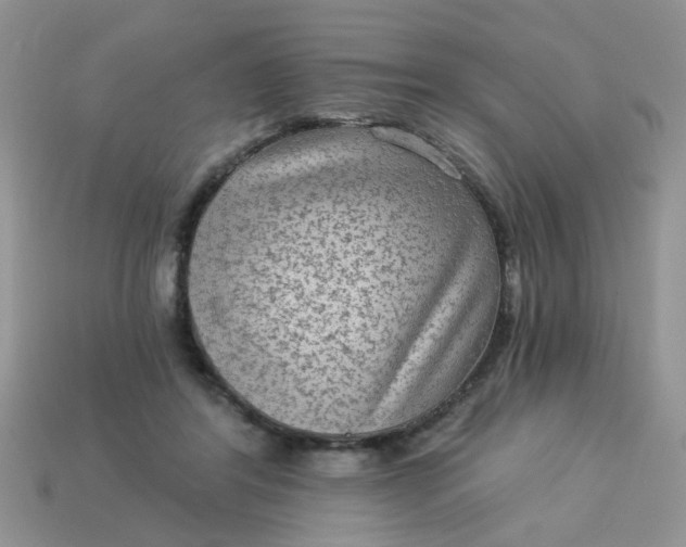 X0000113020404200909101842