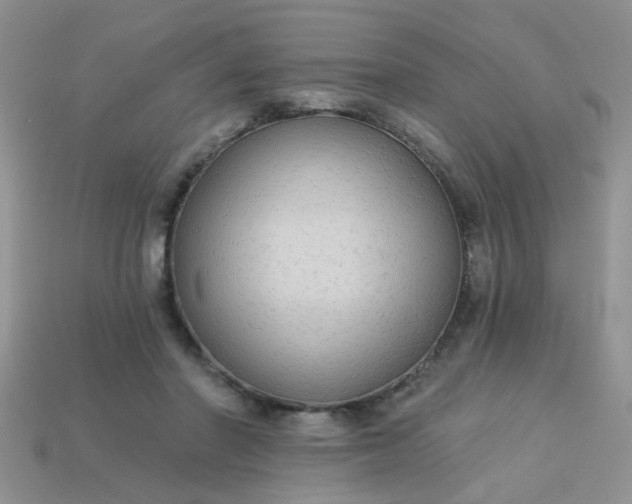 X0000113020406200909101842