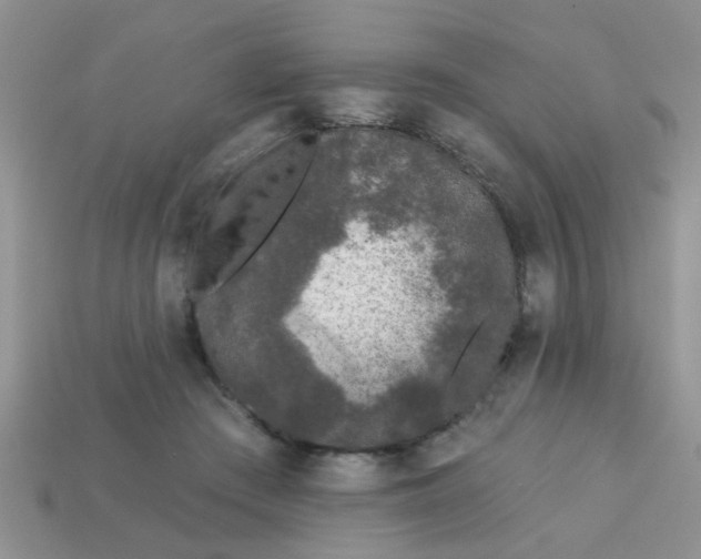 X0000113020409200909101842