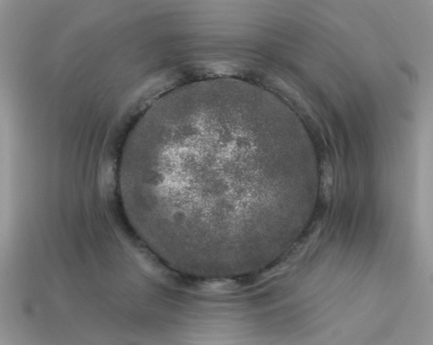 X0000113020410200909101841