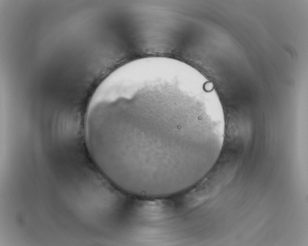 X0000113020411200909101841