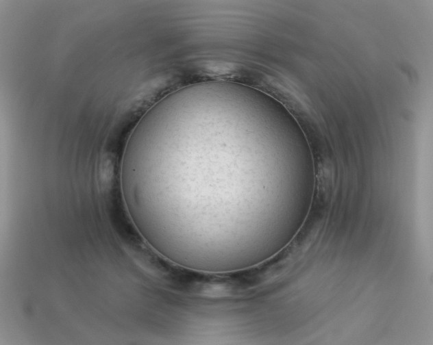 X0000113020412200909101841
