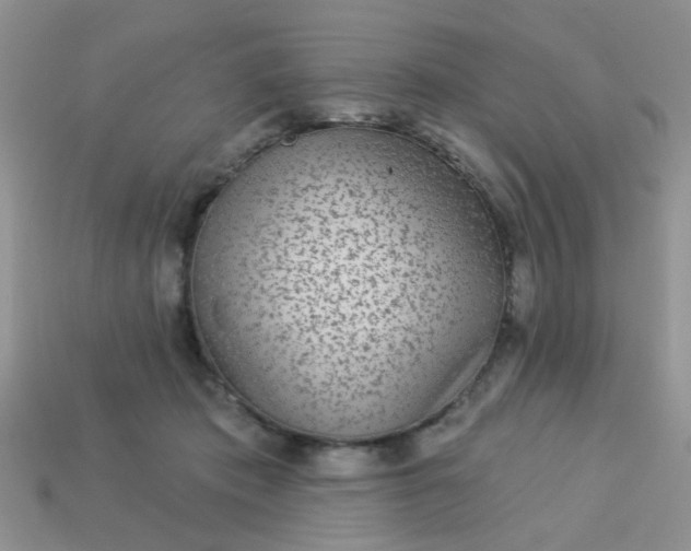 X0000113020413200909101841