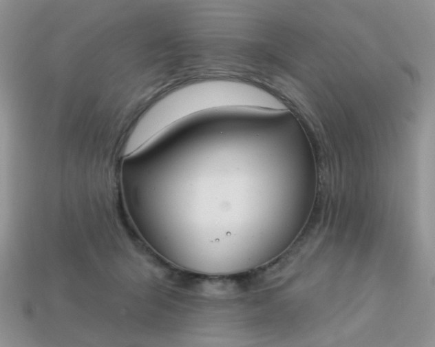X0000113020415200909101841