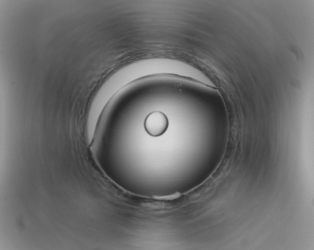 X0000113020417200909101841