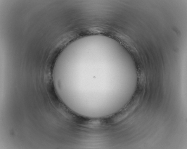 X0000113020418200909101841