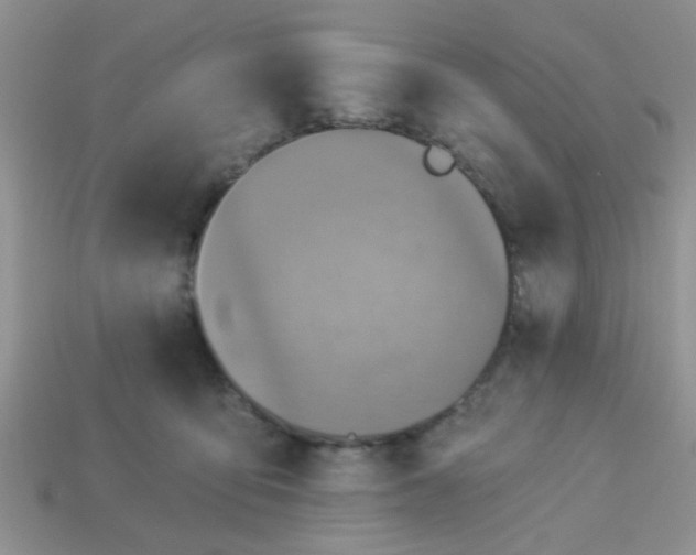 X0000113020419200909101841