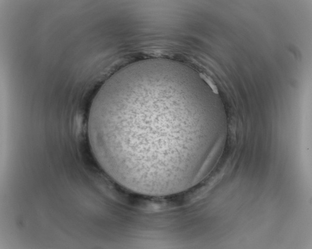 X0000113020420200909101841