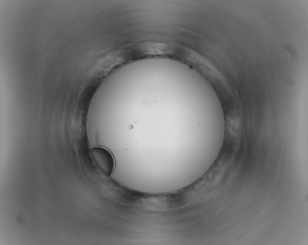 X0000113020422200909101841