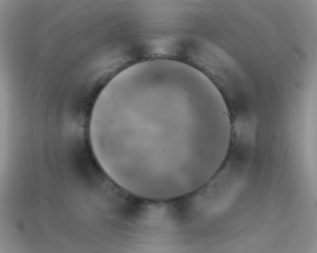 X0000113020423200909101841
