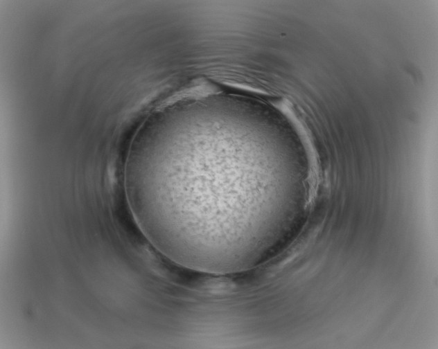 X0000113020424200909101841