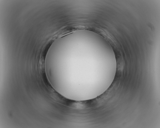 X0000113020425200909101841