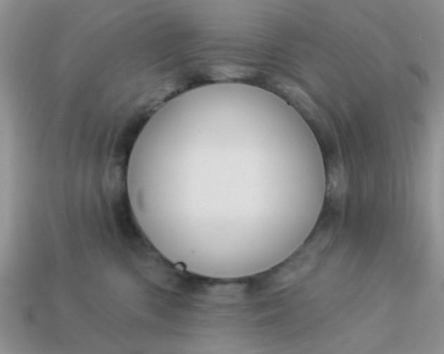 X0000113020426200909101841