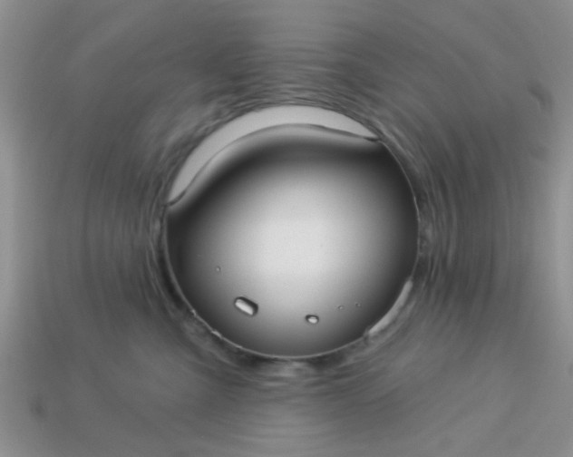 X0000113020427200909101841