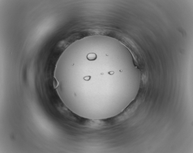 X0000113020429200909101841