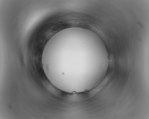 X0000113020430200909101841