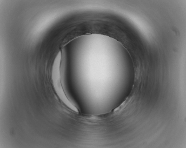 X0000113020431200909101841