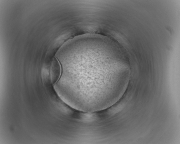 X0000113020432200909101841