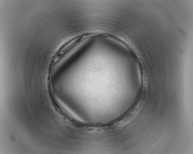 X0000113020434200909101841