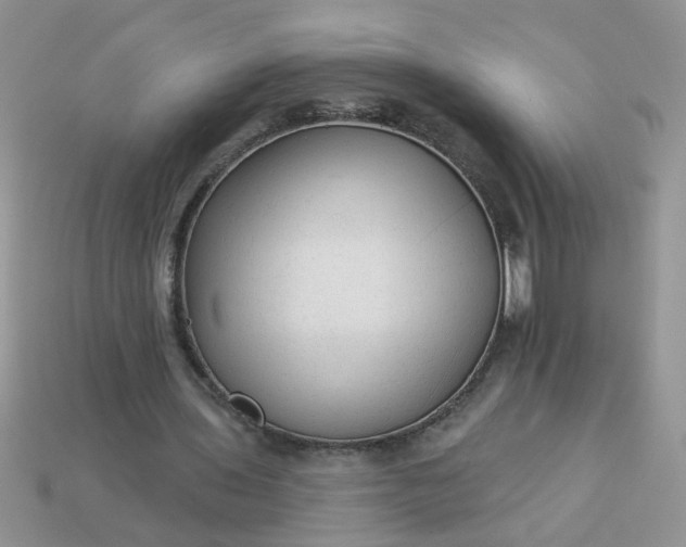 X0000113020435200909101841