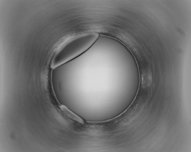 X0000113020436200909101841