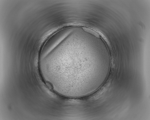 X0000113020437200909101841