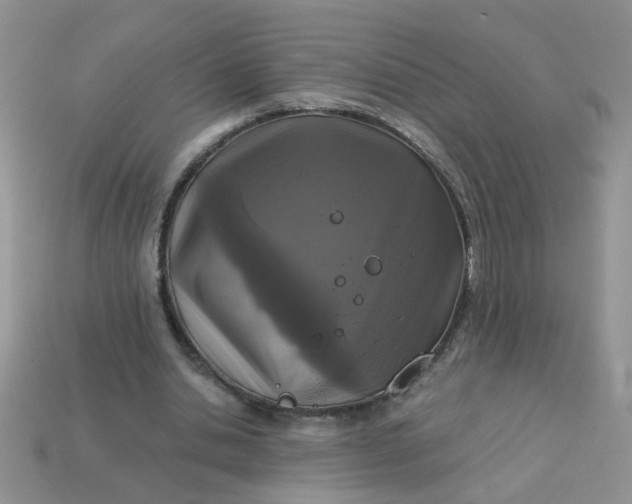 X0000113020438200909101841
