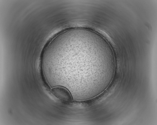 X0000113020439200909101841