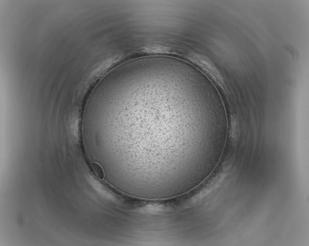 X0000113020441200909101841