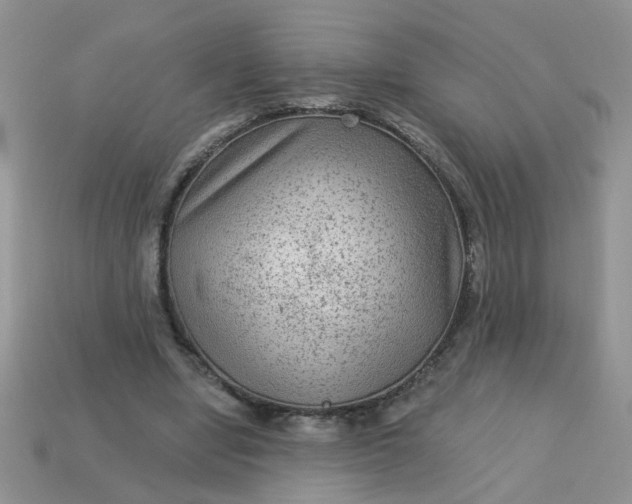 X0000113020442200909101841