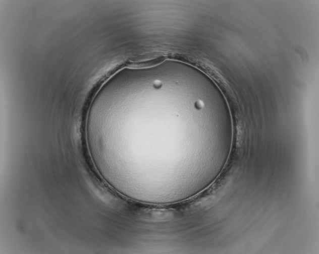 X0000113020443200909101841