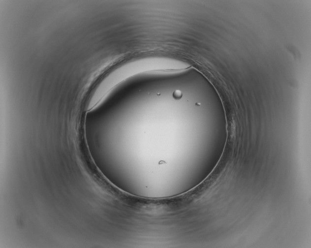 X0000113020444200909101841