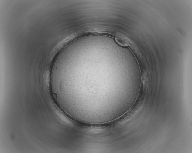 X0000113020445200909101841
