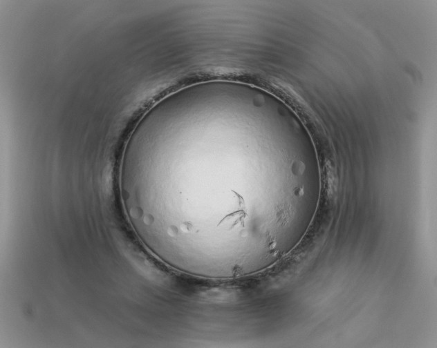 X0000113020447200909101841