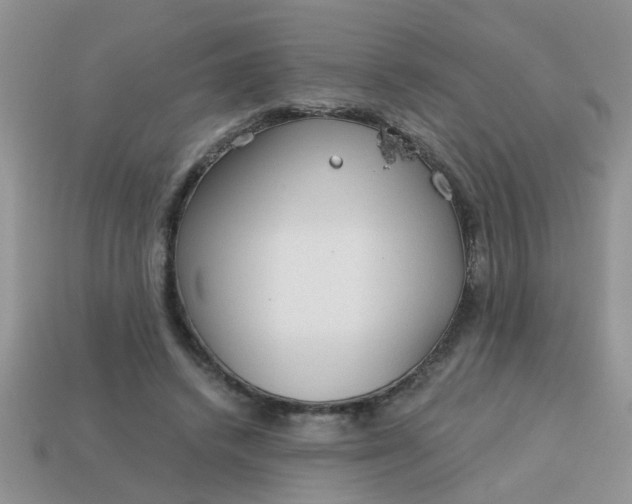 X0000113020448200909101841