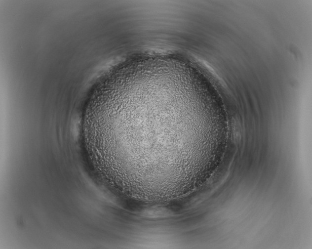 X0000113020451200909101841