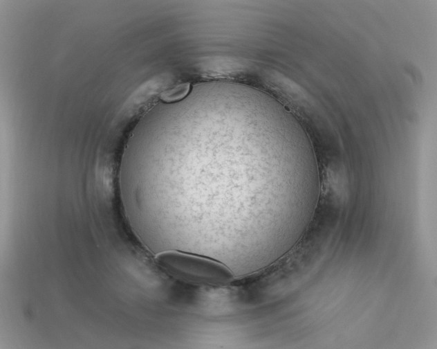 X0000113020452200909101841