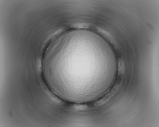 X0000113020453200909101841