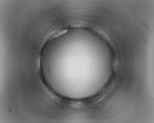 X0000113020454200909101841