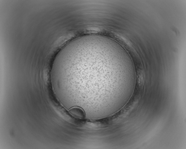X0000113020455200909101841